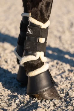 Horse Guard Benskydd & Benlindor|Horse Guard-ei Daaker