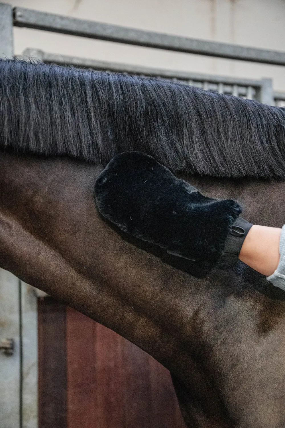 Grooming Deluxe Grooming Deluxe|Ryktväskor & Ryktborstar-Sheepskin Grooming Glove