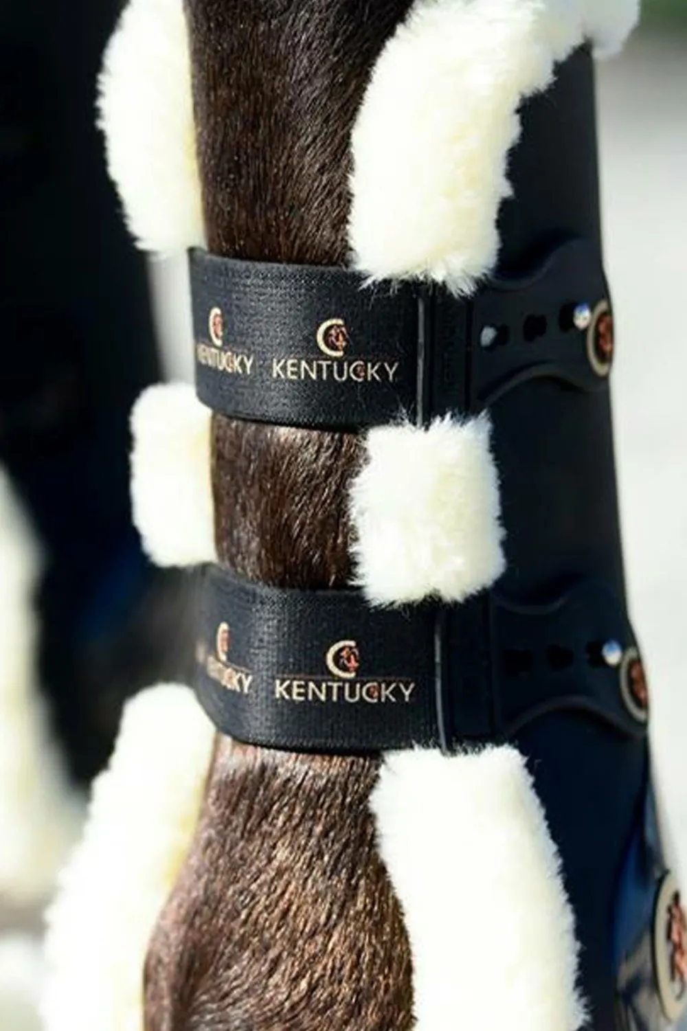 Kentucky Horsewear Benskydd & Benlindor-Sheepskin Senskydd Svart
