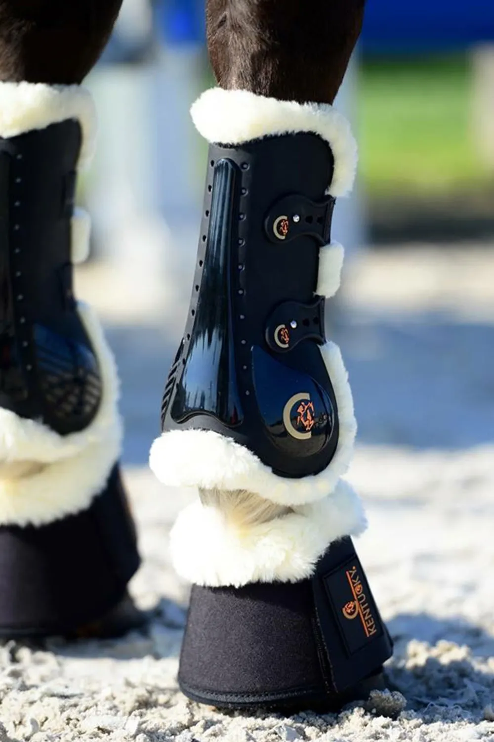 Kentucky Horsewear Benskydd & Benlindor-Sheepskin Senskydd Svart