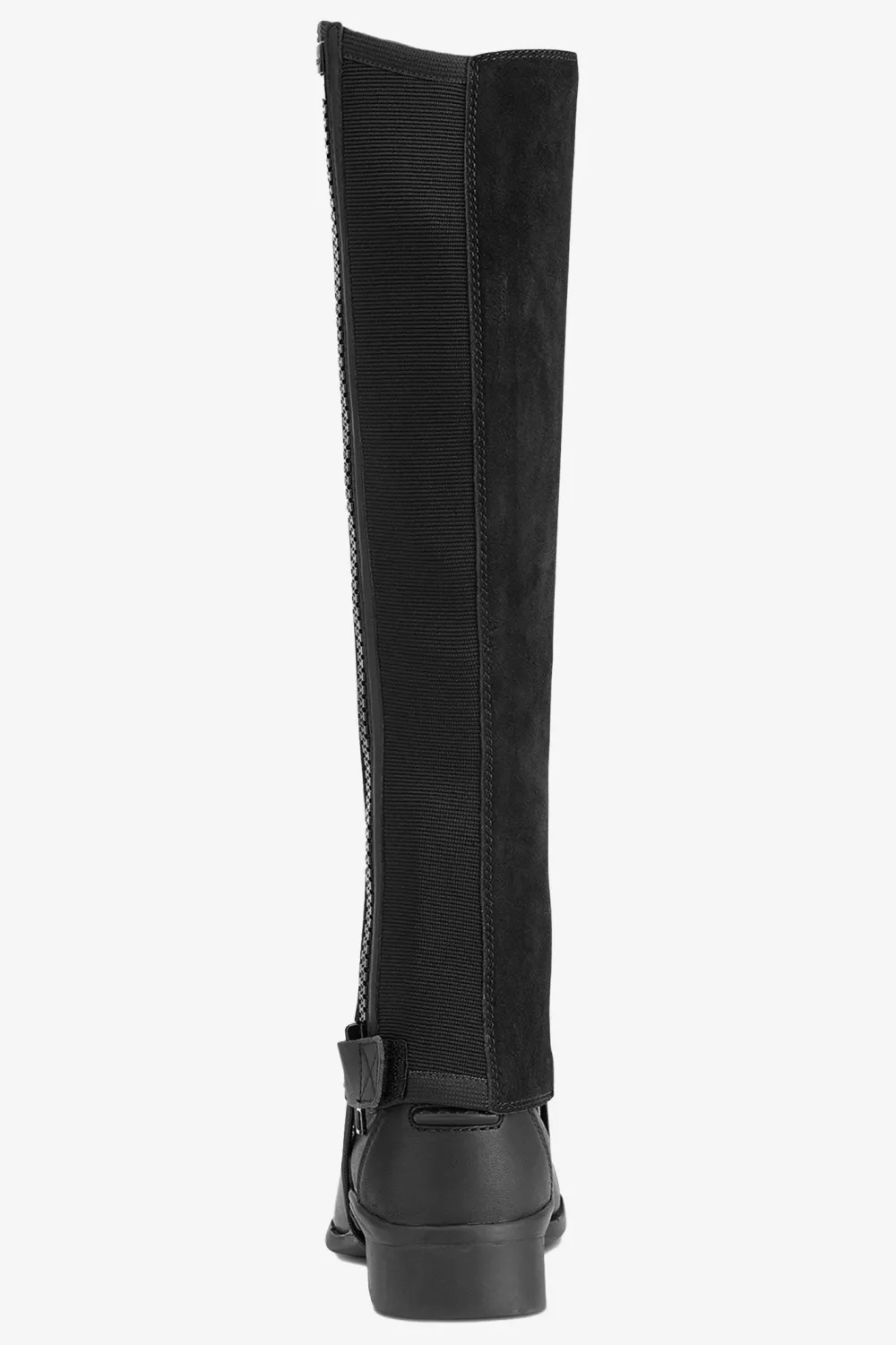 Ariat Ariat|Shortchaps-hortchap cout vart