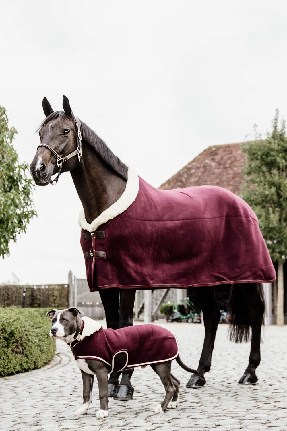 Kentucky Horsewear Kentucky Horsewear-Show Heavy Fleecetäcke Bordeaux