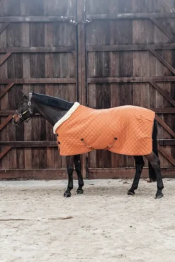 Kentucky Horsewear Hästtäcken & Flughuvor|Kentucky Horsewear-Show Rug 160g Autumn Orange