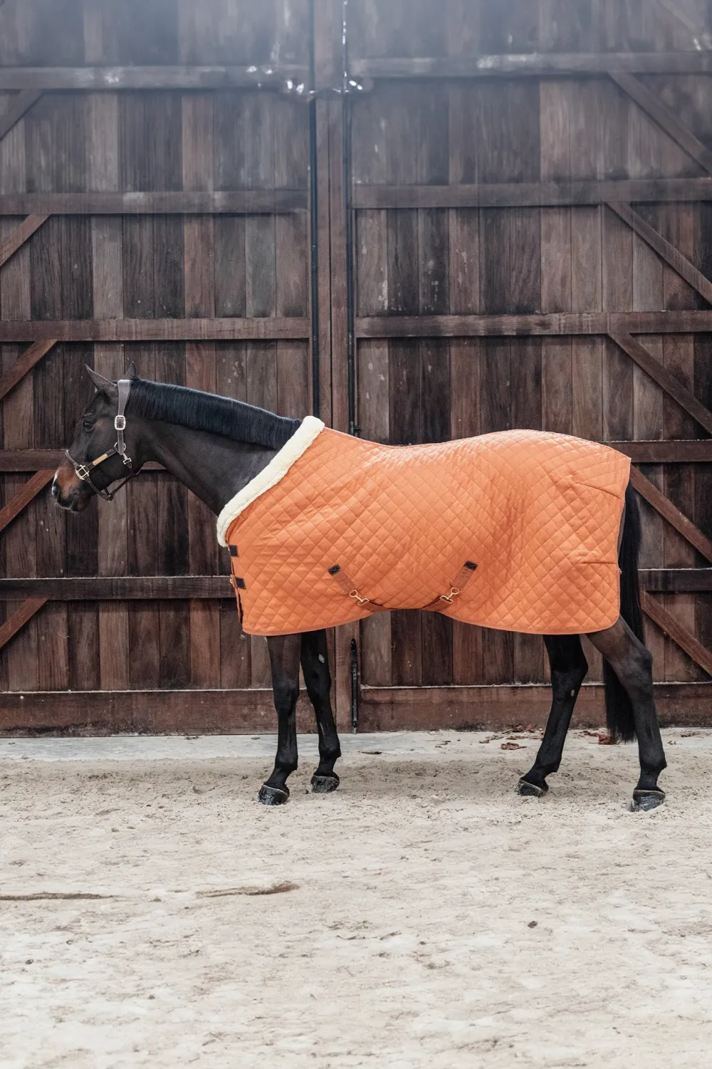 Kentucky Horsewear Hästtäcken & Flughuvor|Kentucky Horsewear-Show Rug 160g Autumn Orange