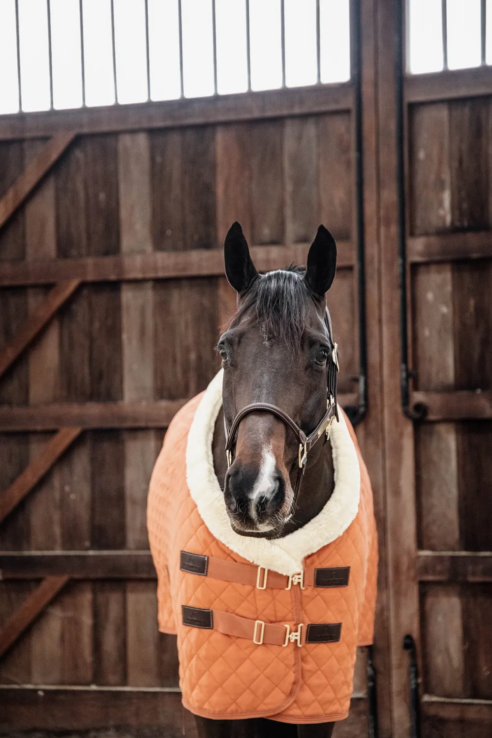 Kentucky Horsewear Hästtäcken & Flughuvor|Kentucky Horsewear-Show Rug 160g Autumn Orange