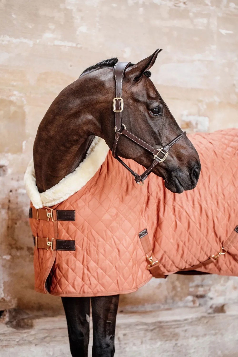 Kentucky Horsewear Hästtäcken & Flughuvor|Kentucky Horsewear-Show Rug 160g Autumn Orange