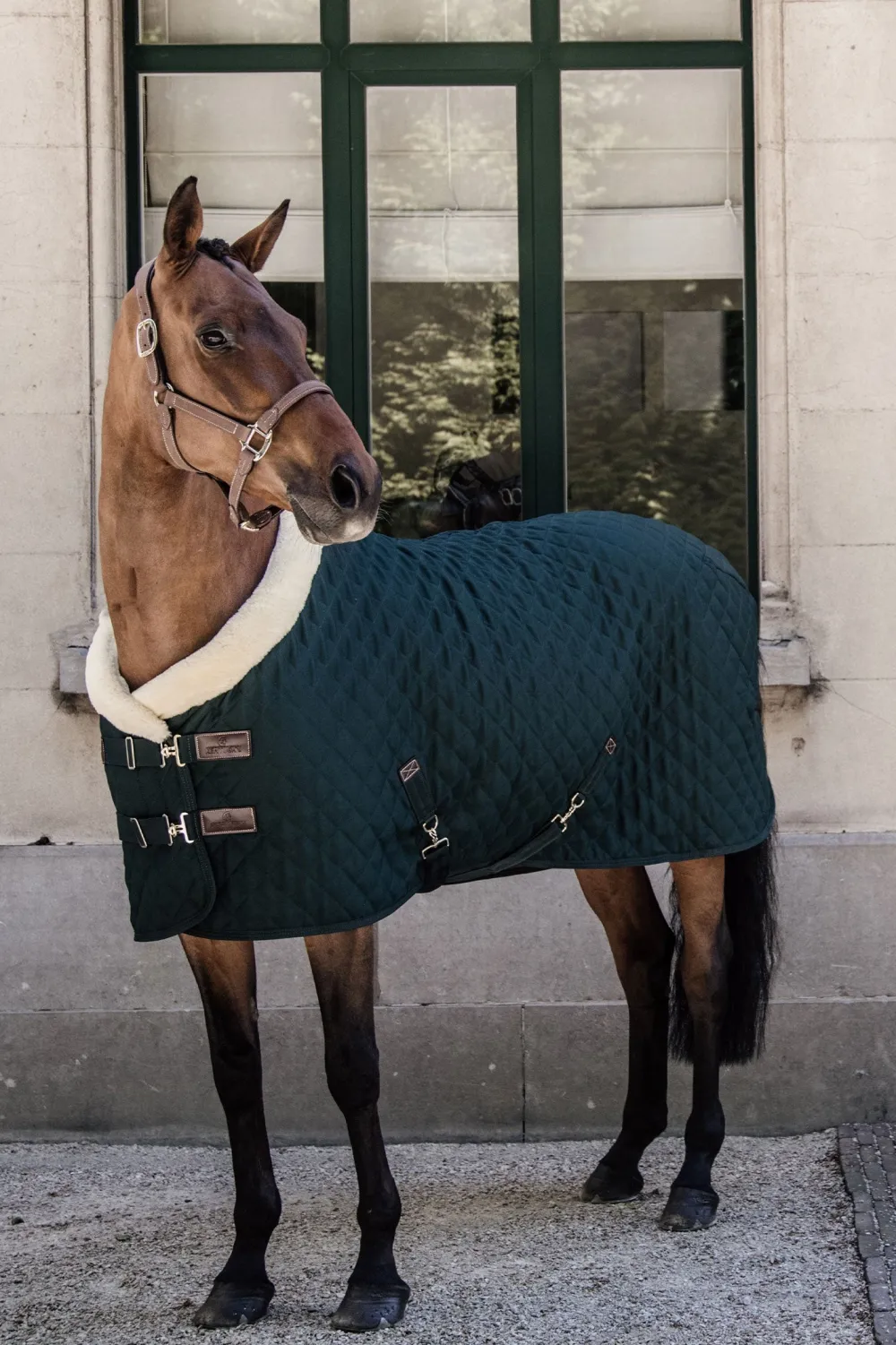 Kentucky Horsewear Hästtäcken & Flughuvor|Kentucky Horsewear-Show Rug g Dark Green