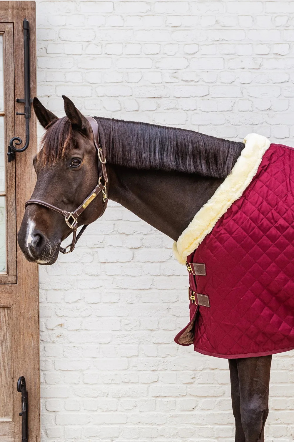 Kentucky Horsewear Hästtäcken & Flughuvor|Kentucky Horsewear-Show Rug Stalltäcke G Bordeaux