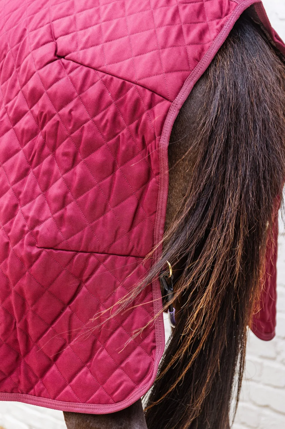 Kentucky Horsewear Hästtäcken & Flughuvor|Kentucky Horsewear-Show Rug Stalltäcke G Bordeaux
