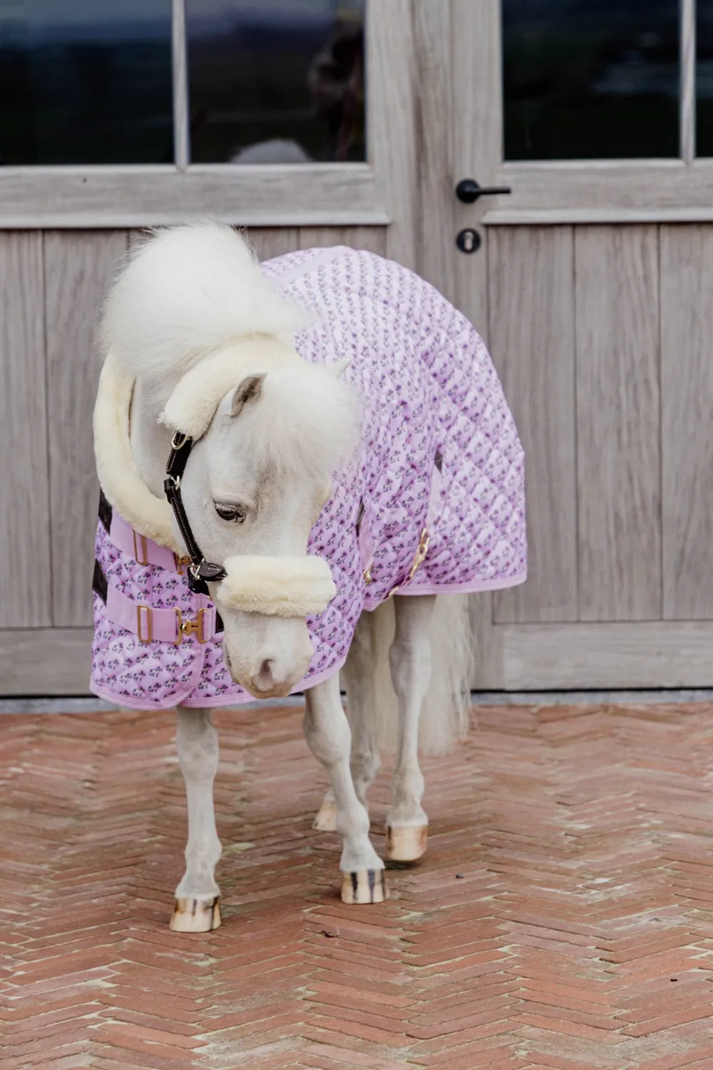 Kentucky Horsewear Hästtäcken & Flughuvor|Kentucky Horsewear-Show Rug Stalltäcke Sammy Old Rose