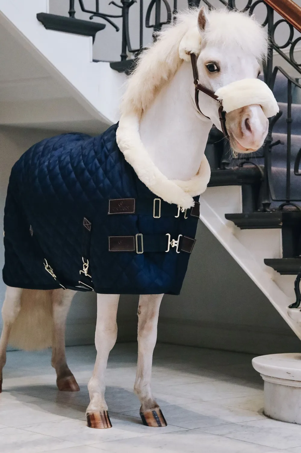 Kentucky Horsewear Hästtäcken & Flughuvor-Show Rug Tiny Kollektion Navy