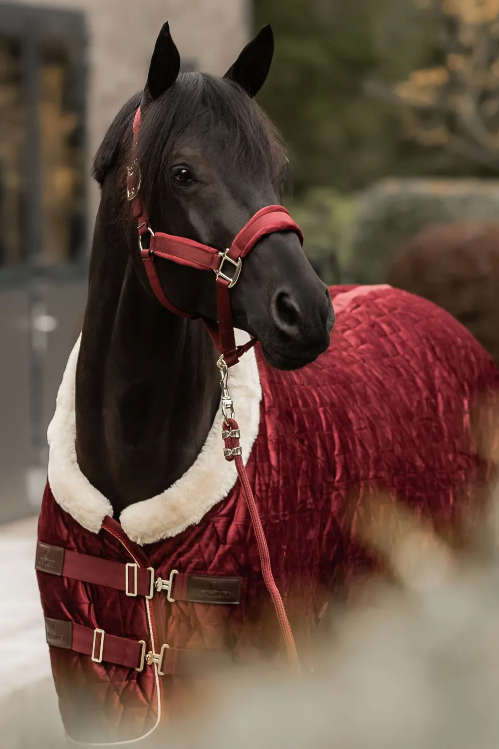 Kentucky Horsewear Hästtäcken & Flughuvor|Kentucky Horsewear-Show Rug Velvet g Bordeaux