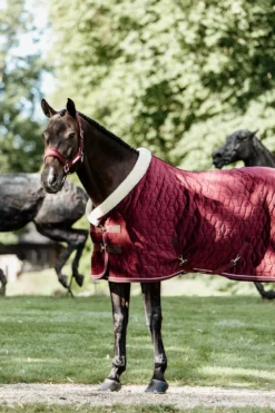 Kentucky Horsewear Hästtäcken & Flughuvor|Kentucky Horsewear-Show Rug Velvet g Bordeaux
