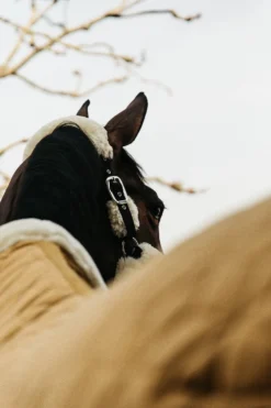 Kentucky Horsewear Hästtäcken & Flughuvor|Kentucky Horsewear-Show Rug Velvet g Mustard