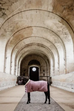 Kentucky Horsewear Hästtäcken & Flughuvor|Kentucky Horsewear-Show Rug Velvet g Old Rose