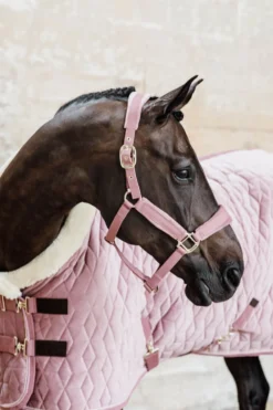 Kentucky Horsewear Hästtäcken & Flughuvor|Kentucky Horsewear-Show Rug Velvet g Old Rose