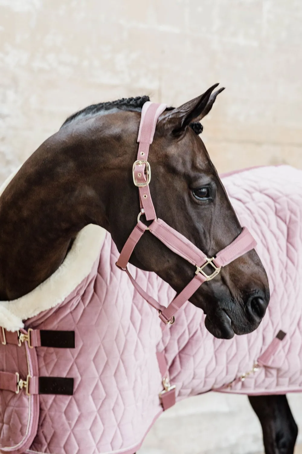 Kentucky Horsewear Hästtäcken & Flughuvor|Kentucky Horsewear-Show Rug Velvet g Old Rose