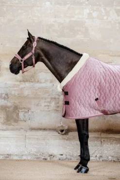 Kentucky Horsewear Hästtäcken & Flughuvor|Kentucky Horsewear-Show Rug Velvet g Old Rose