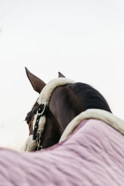 Kentucky Horsewear Hästtäcken & Flughuvor|Kentucky Horsewear-Show Rug Velvet g Old Rose