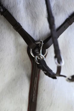 Antares Antarès|Tyglar & Hjälptyglar-Signature Martingaldel Brun