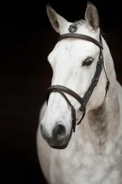 Källquist Equestrian Träns & Pannband|Källquist Equestrian-Sir Patric Träns Brun