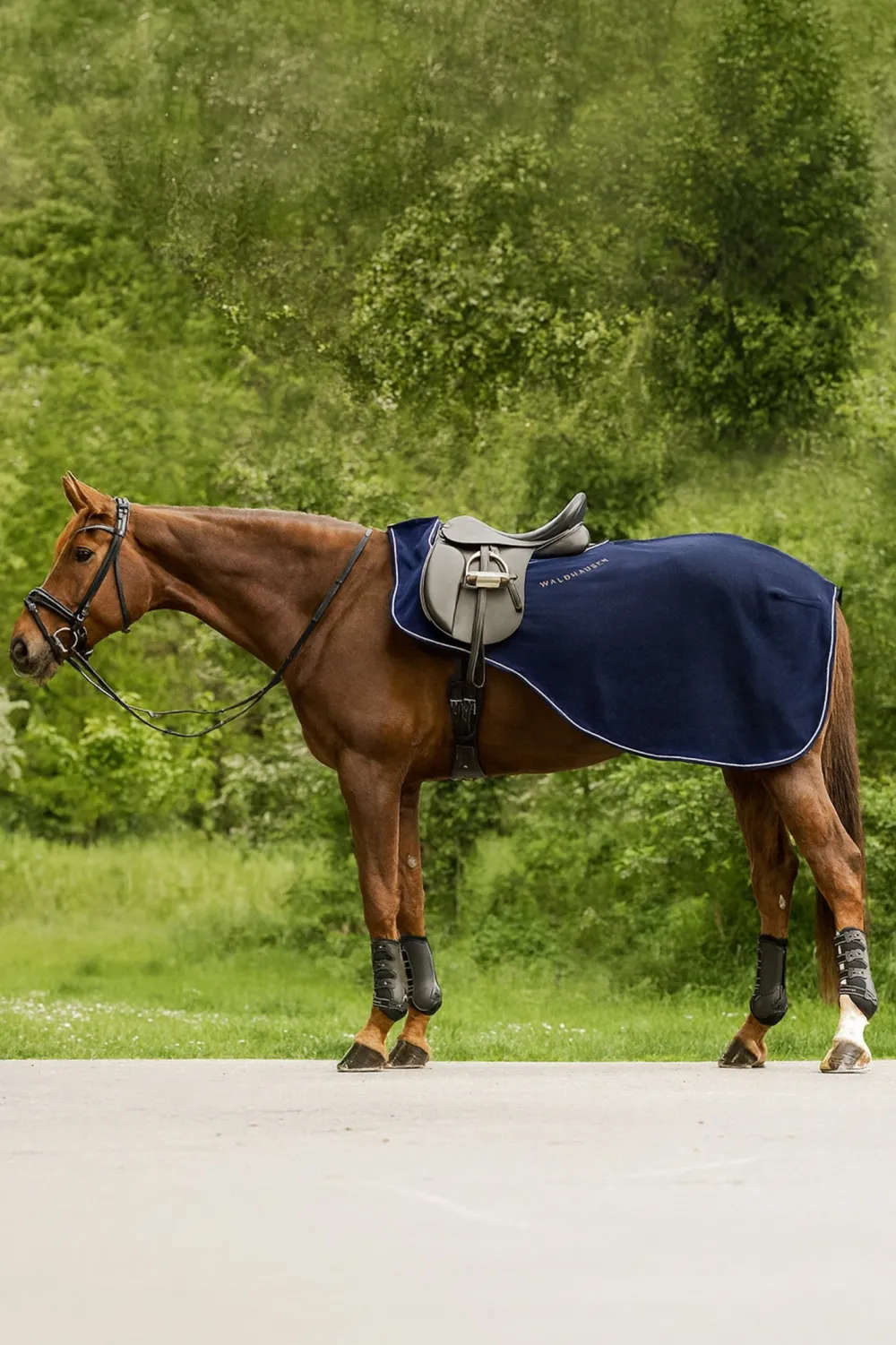 Waldhausen Hästtäcken & Flughuvor-Skrittäcke Modern Rosé Nightblue/Rosegold