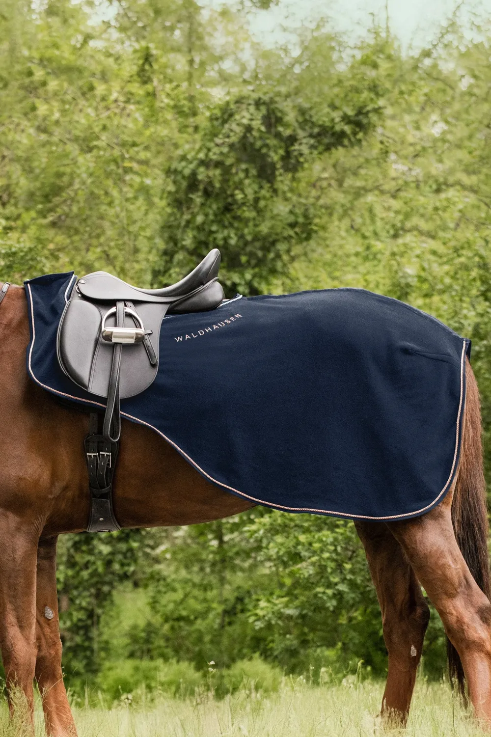 Waldhausen Hästtäcken & Flughuvor-Skrittäcke Modern Rosé Nightblue/Rosegold