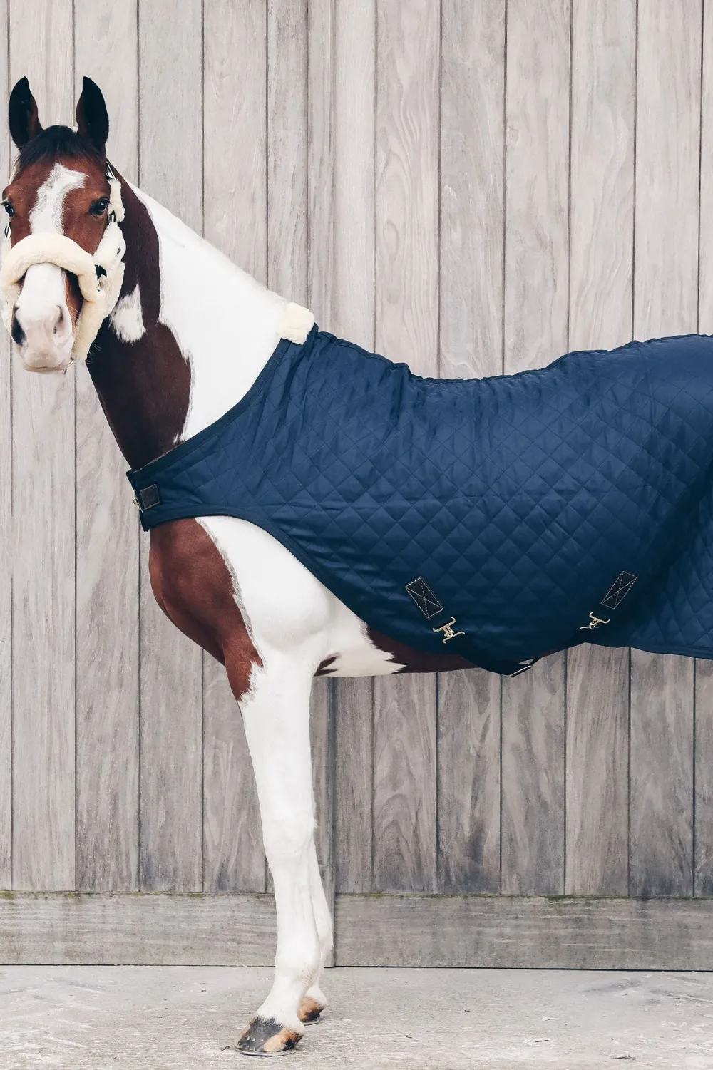 Kentucky Horsewear Hästtäcken & Flughuvor-Skrittmaskinstäcke 160g Navy