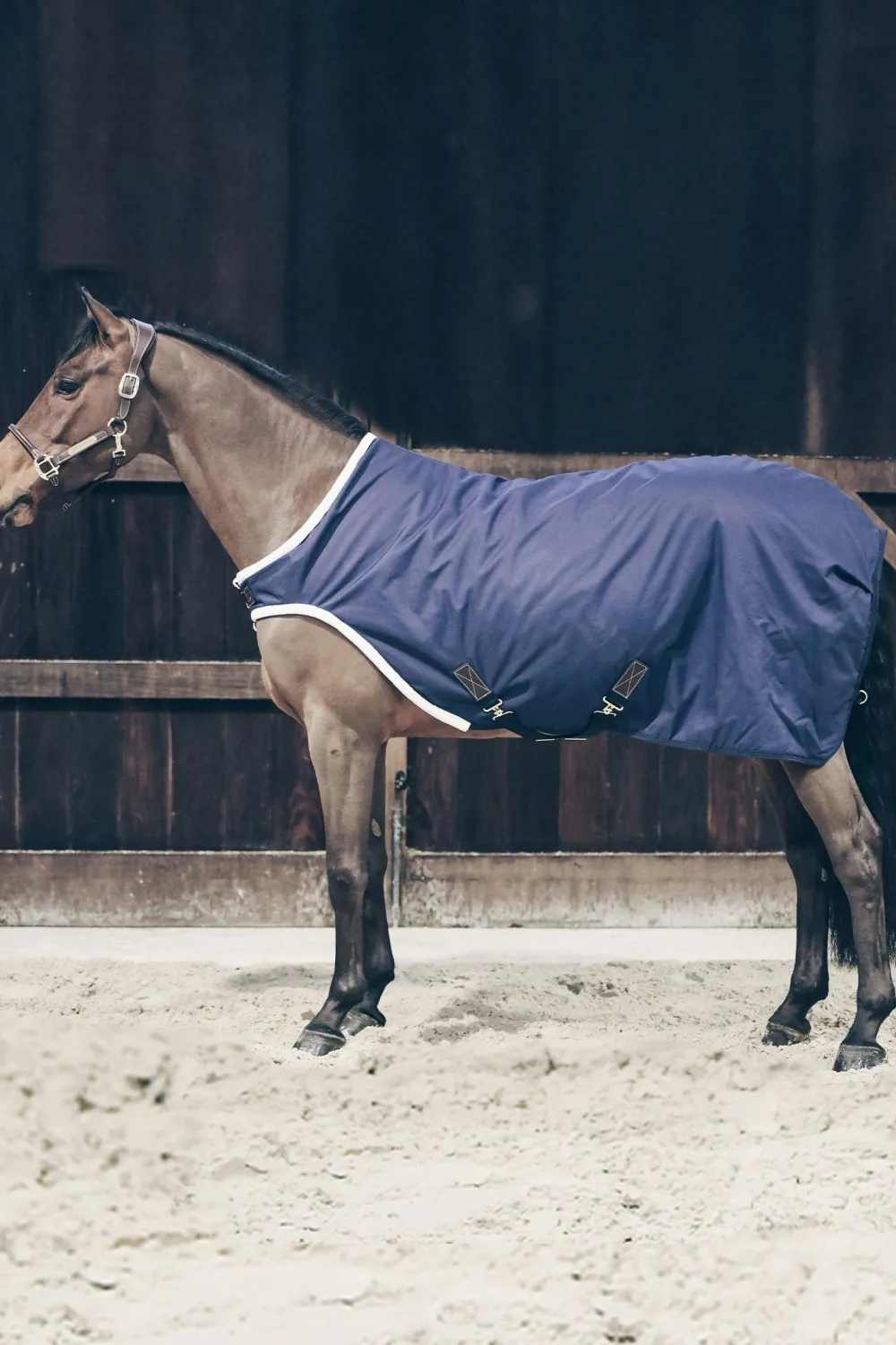 Kentucky Horsewear Hästtäcken & Flughuvor-Skrittmaskinstäcke Vattentätt Navy