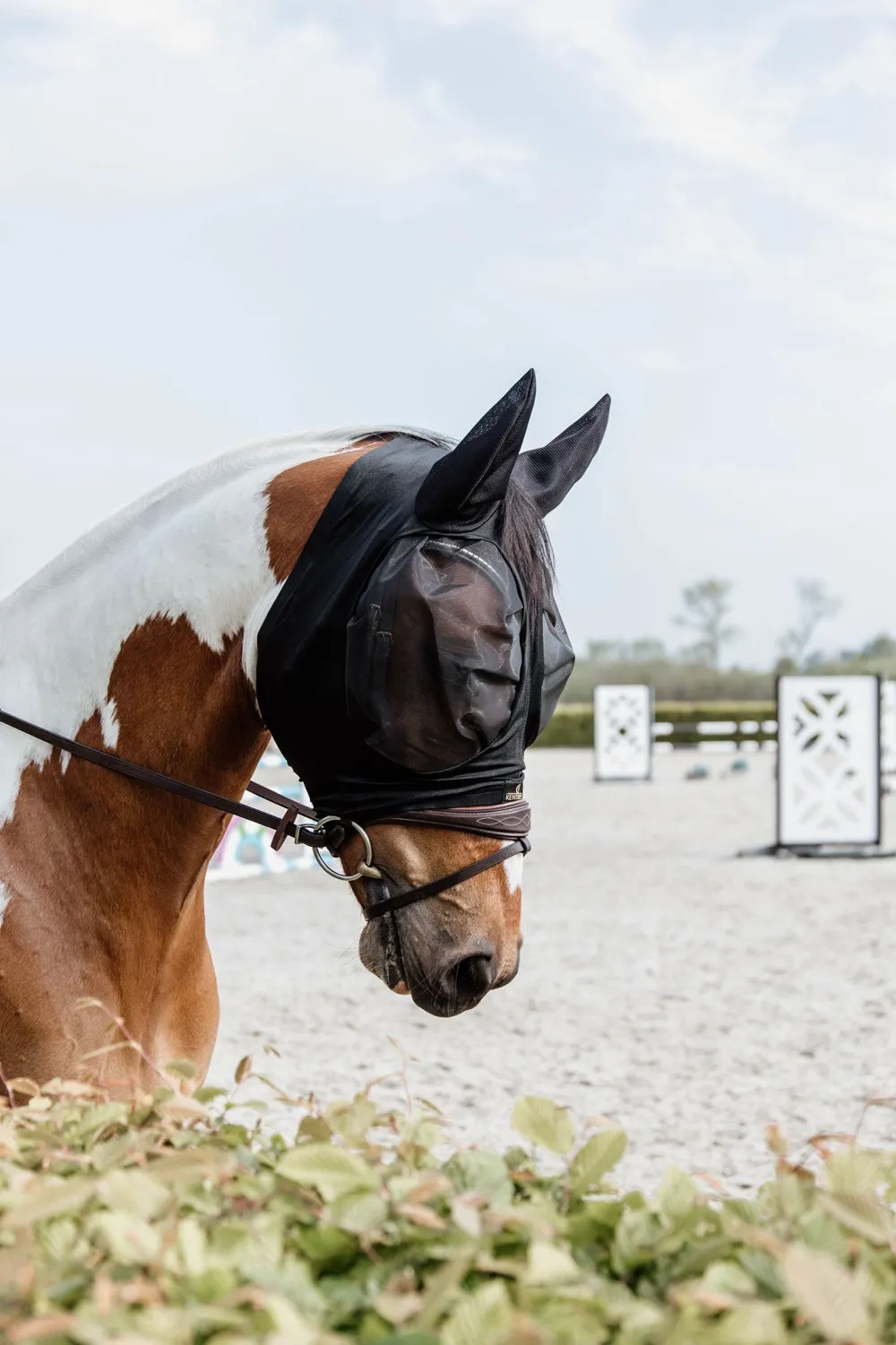 Kentucky Horsewear Flugskydd-Slim Fit Flughuva