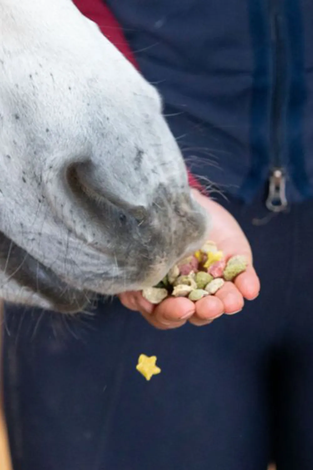 Likit Likit-Snacks Godispåse Äpple & Kanel