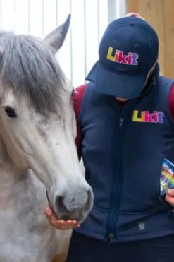 Likit Likit-Snacks Godispåse Rainbow