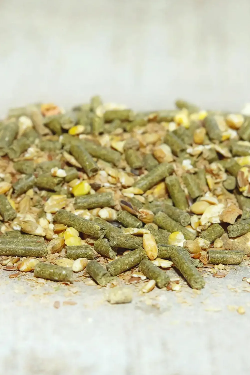Cavalor Cavalor|Fodertillskott & Hästgodis-Sportmash 1,5kg