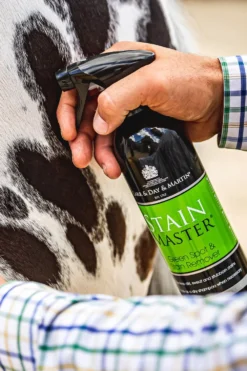 Carr & Day & Martin Carr & Day & Martin-Stain Master Spray