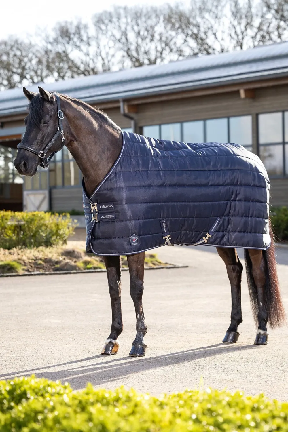 LeMieux Lemieux-Stalltäcke Arika 350g Navy