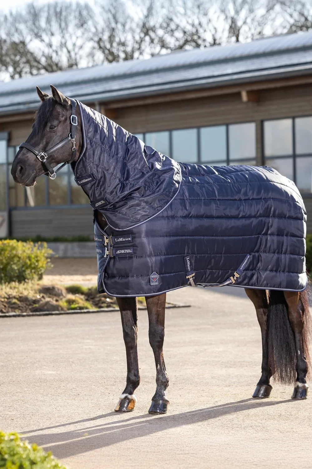 LeMieux Lemieux-Stalltäcke Arika 350g Navy
