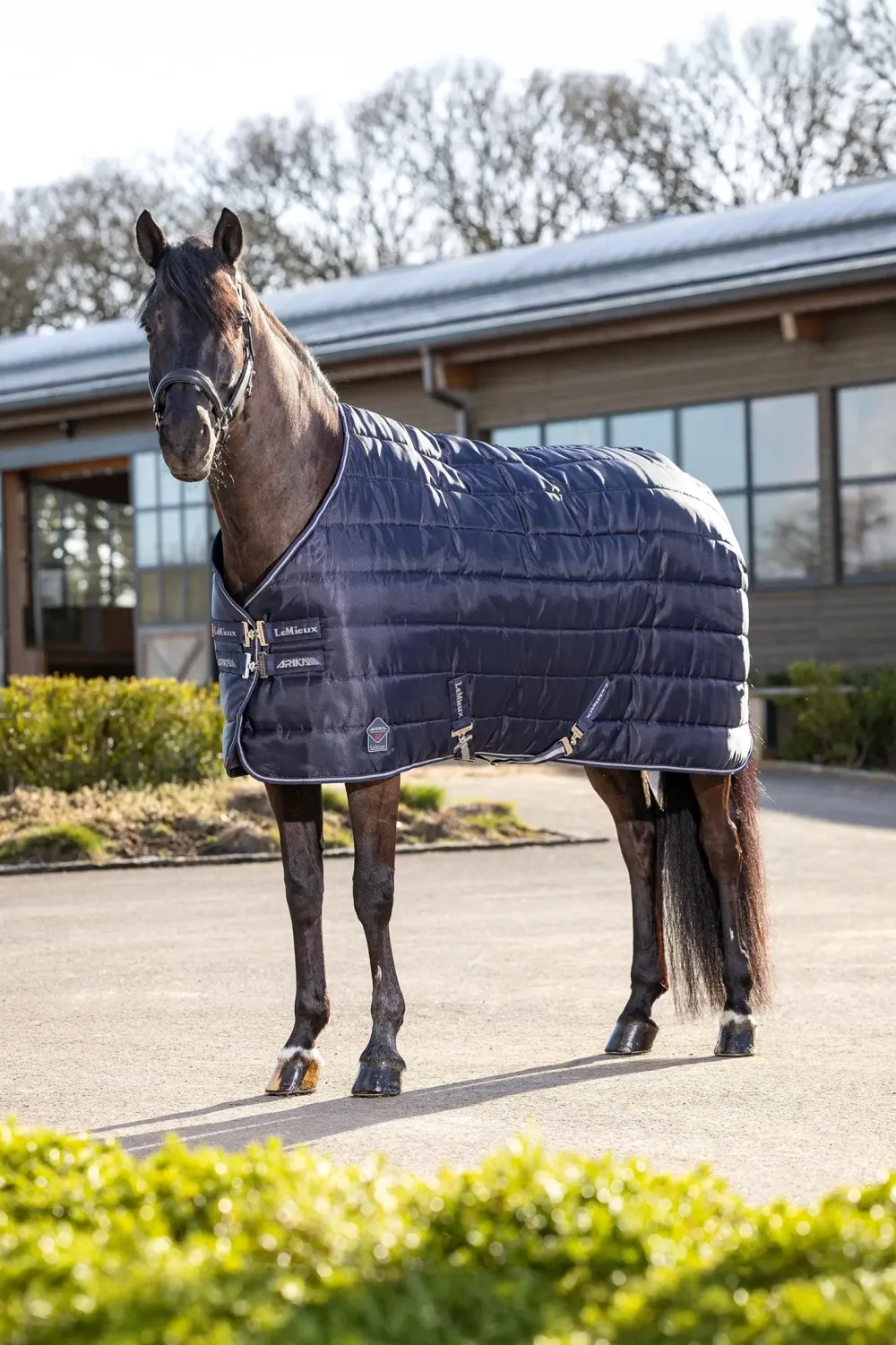LeMieux Lemieux-Stalltäcke Arika 200g Navy