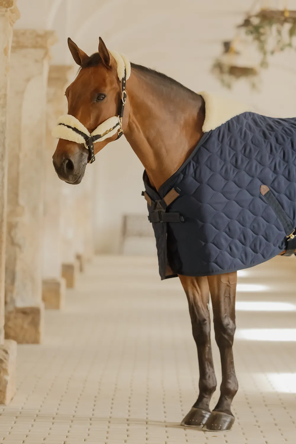 Kentucky Horsewear Kentucky Horsewear-Stalltäcke Comfort 100g Navy