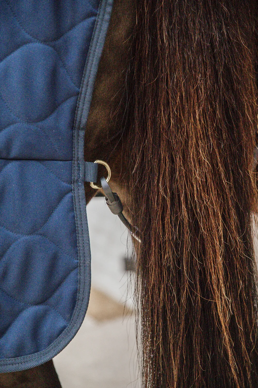 Kentucky Horsewear Kentucky Horsewear-Stalltäcke Comfort 100g Navy