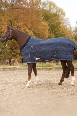Waldhausen Hästtäcken & Flughuvor-Stalltäcke Comfort Line 100g Night Blue