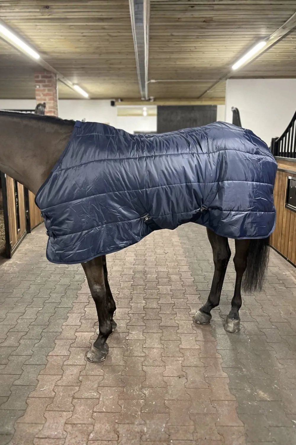 Svensk Ridsport Hästtäcken & Flughuvor-Stalltäcke 200g