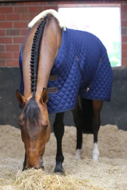 Kentucky Horsewear Hästtäcken & Flughuvor|Kentucky Horsewear-Stalltäcke 400g Navy