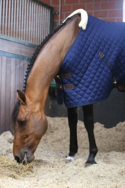 Kentucky Horsewear Hästtäcken & Flughuvor-Stalltäcke 200g Navy