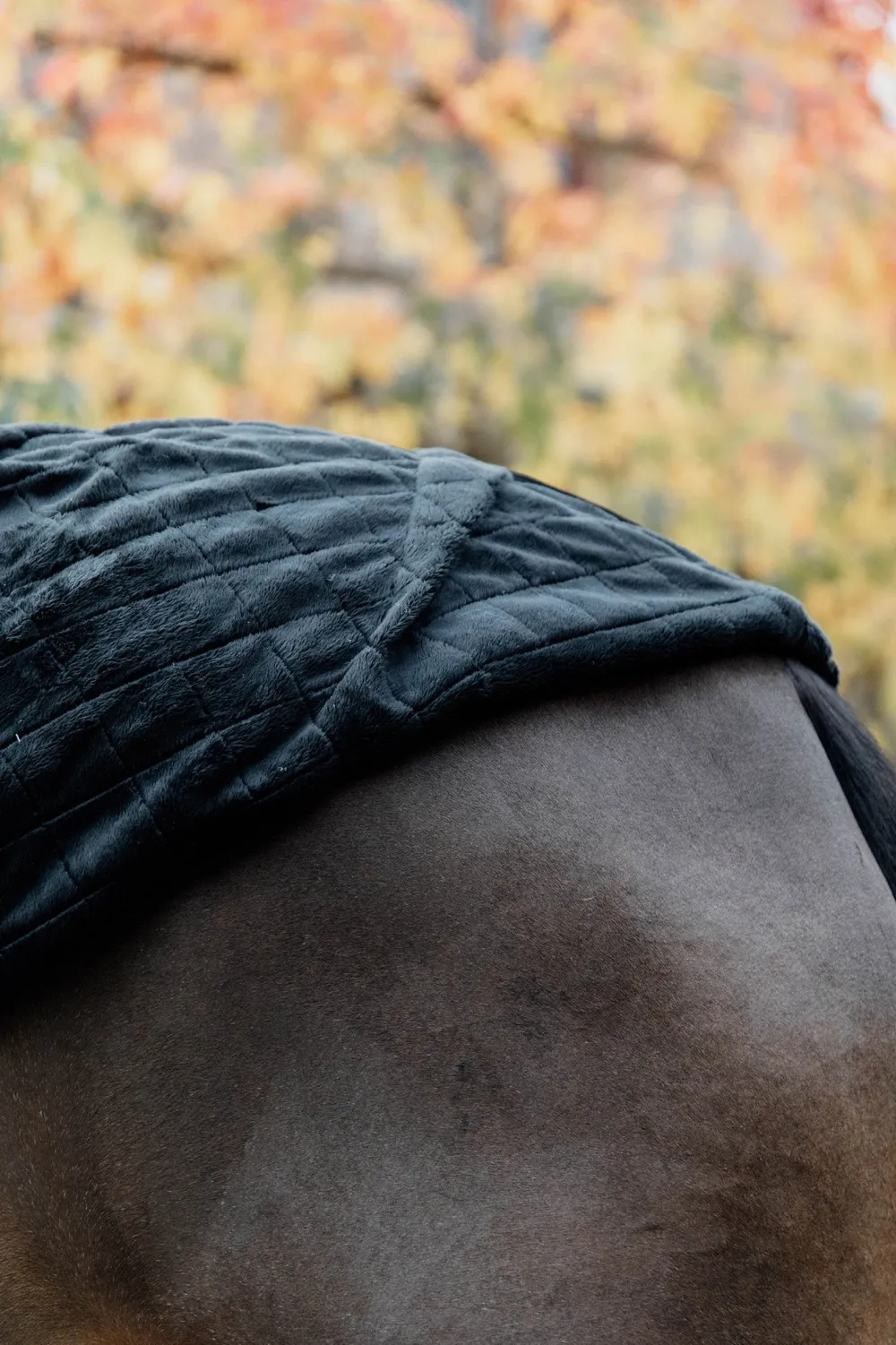 Kentucky Horsewear Kentucky Horsewear-Stalltäcke 0g Svart/Svart