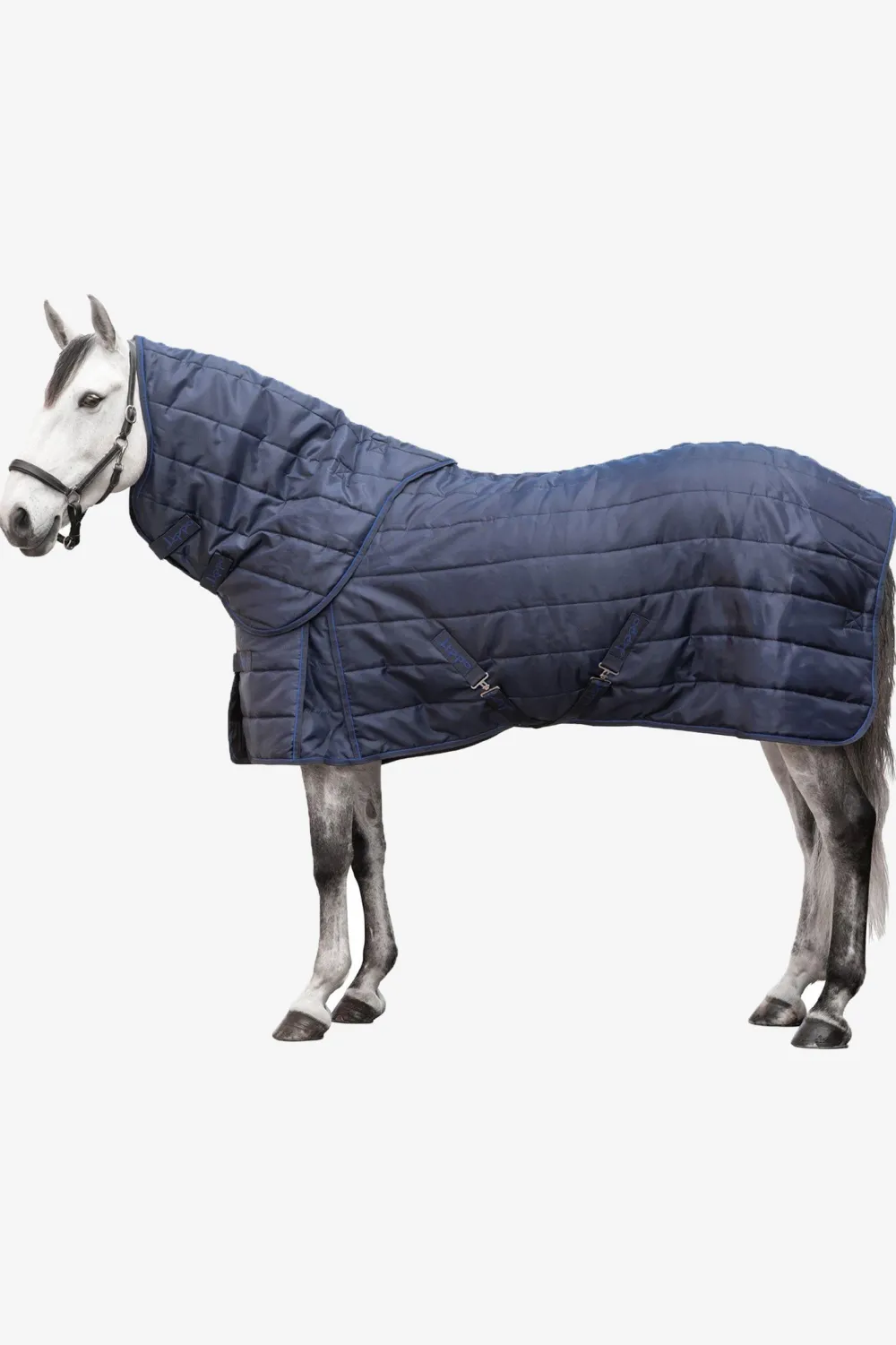 Lippo Lippo|Källquist Equestrian-Stalltäcke Plus 200g