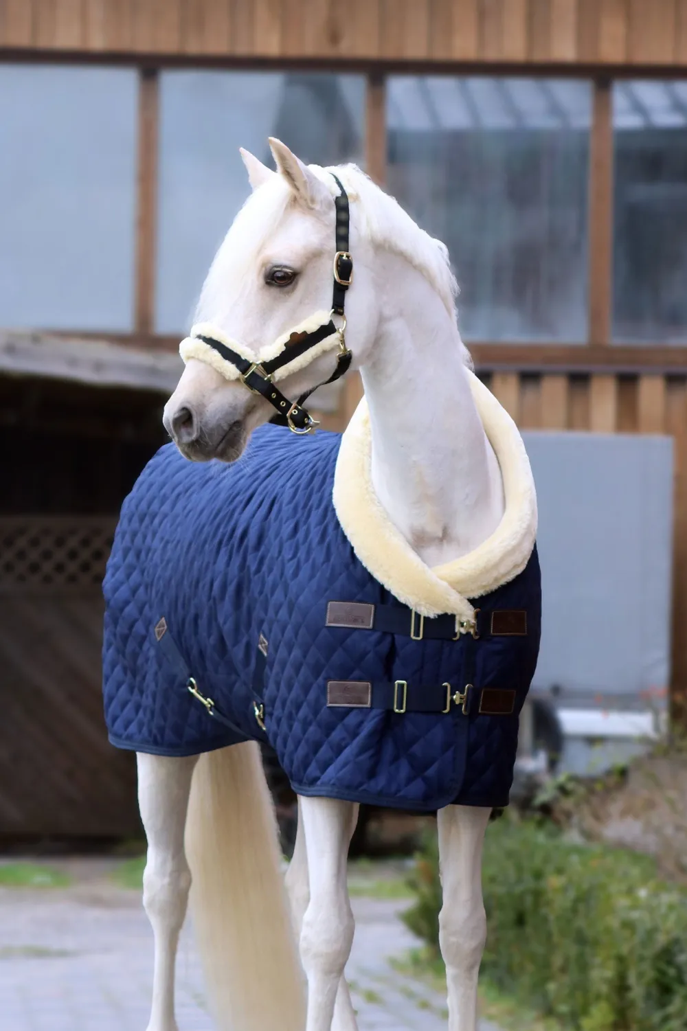 Kentucky Horsewear Hästtäcken & Flughuvor-Stalltäcke Show Rug 160g Navy