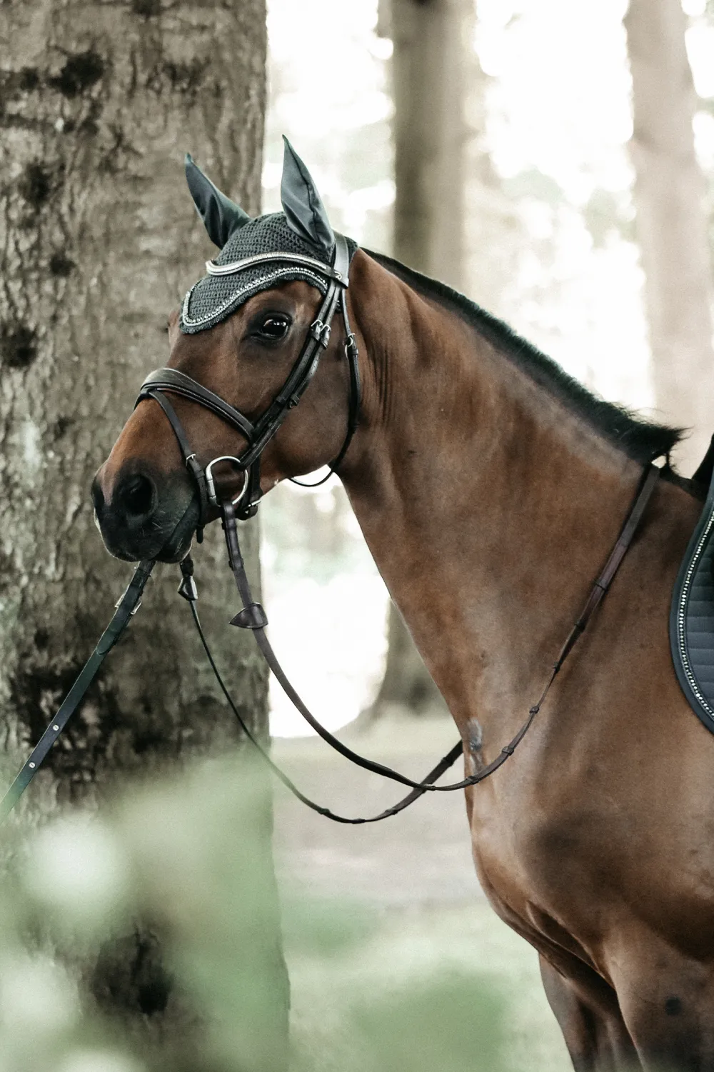 Kentucky Horsewear Kentucky Horsewear|Schabrak & Huvor-Stone & Pearl Lång Huva Grå
