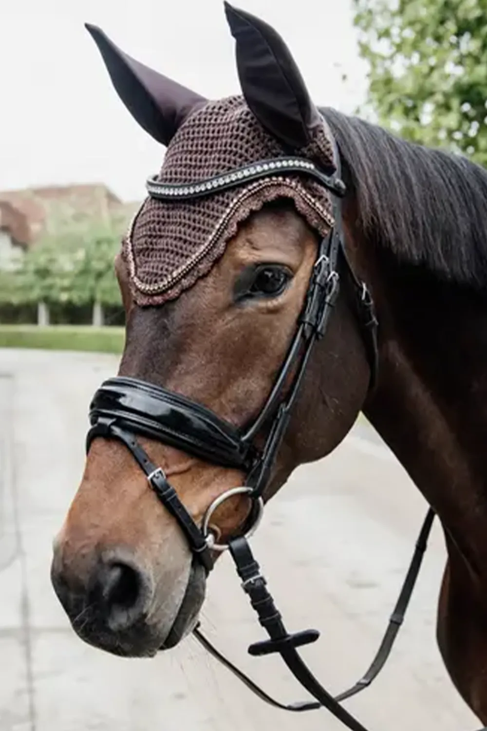 Kentucky Horsewear Kentucky Horsewear|Schabrak & Huvor-Stone & Pearl Lång Isolerad Huva Brun