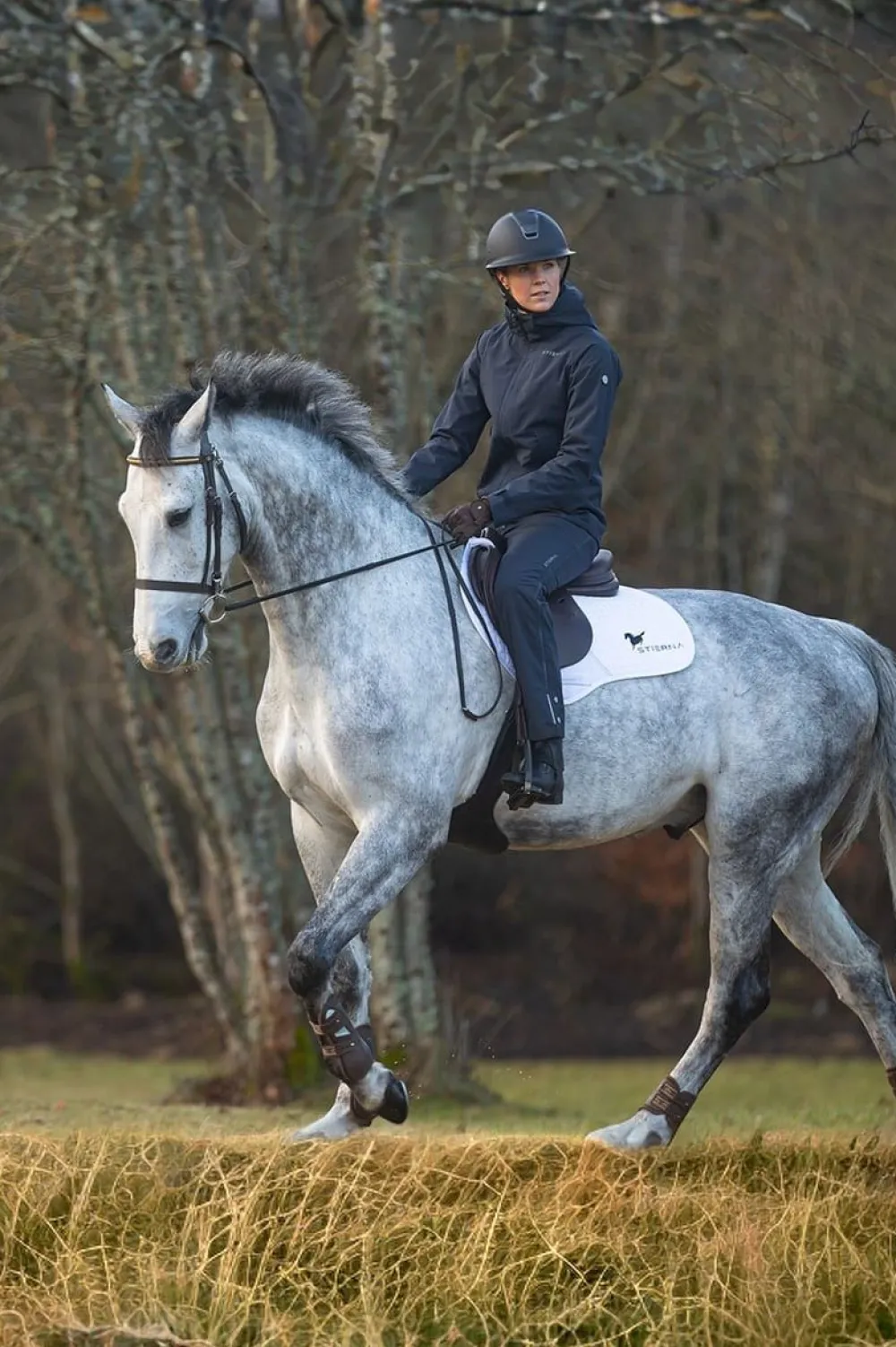 Stierna Equestrian Stierna|Jackor & Kappor-tor Regnjacka