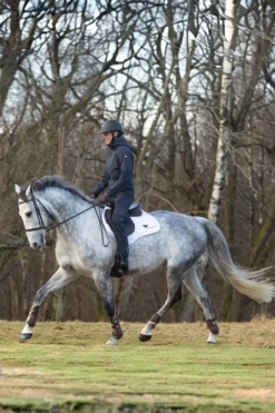 Stierna Equestrian Stierna|Jackor & Kappor-tor Regnjacka